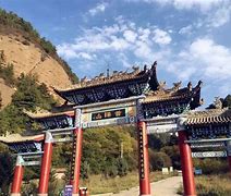 爱岷县客户端攻略甘肃岷县当归种苗采挖忙